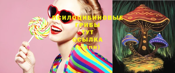 твердый Вязники