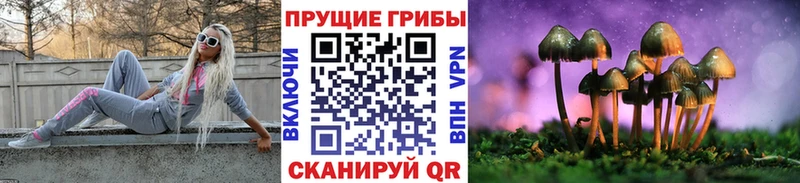 Псилоцибиновые грибы мицелий  Купить где  Ленинск-Кузнецкий 
