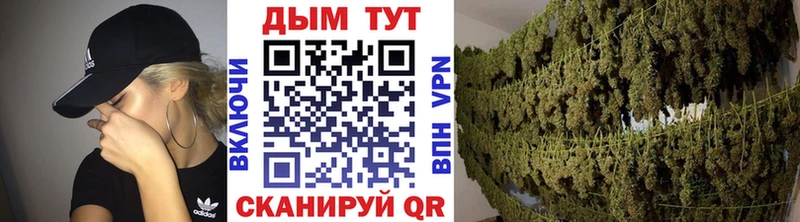 Купить закладки  Ленинск-Кузнецкий  Марихуана планчик 
